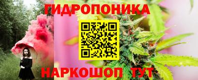 тгк Гусь-Хрустальный