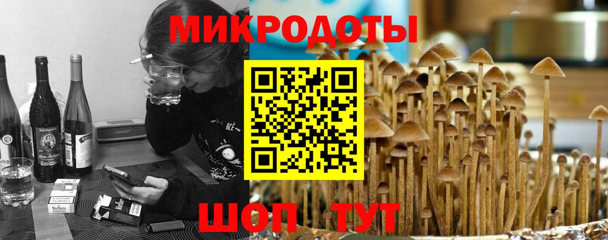 Медногорск  купить закладку  Вход с VPN  Галлюциногенные грибы прущие грибы 