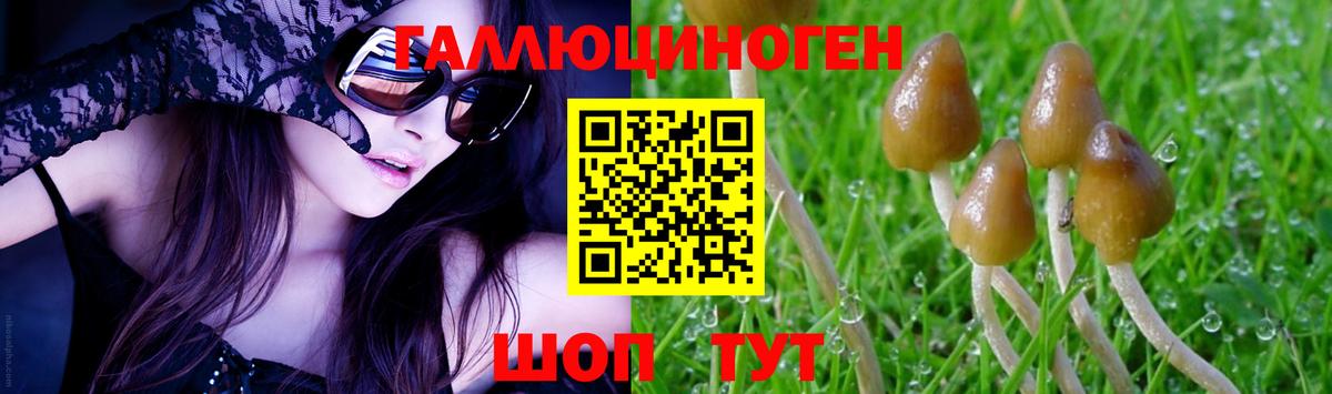 Псилоцибиновые грибы GOLDEN TEACHER Медногорск